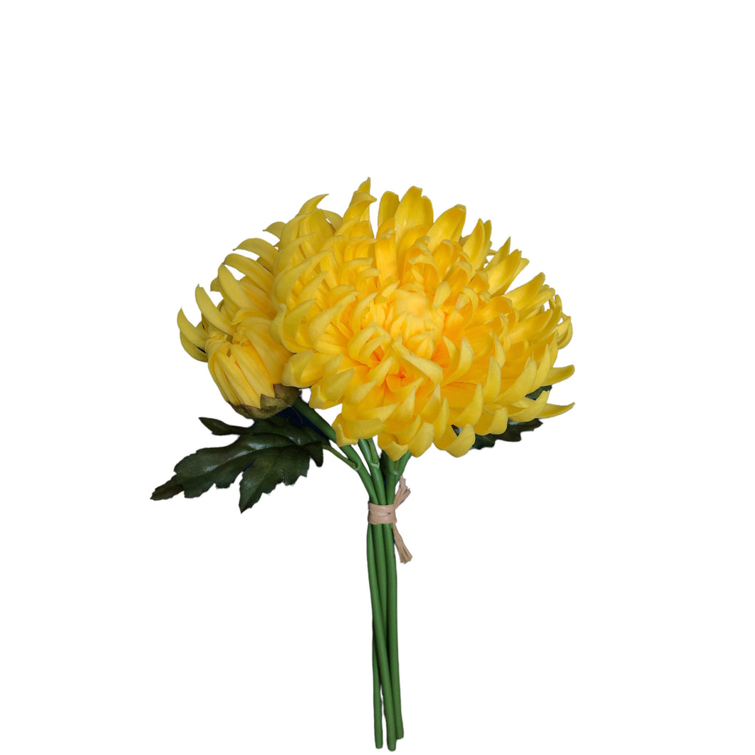 Spider Chrysanthemum Bundle 29cm.