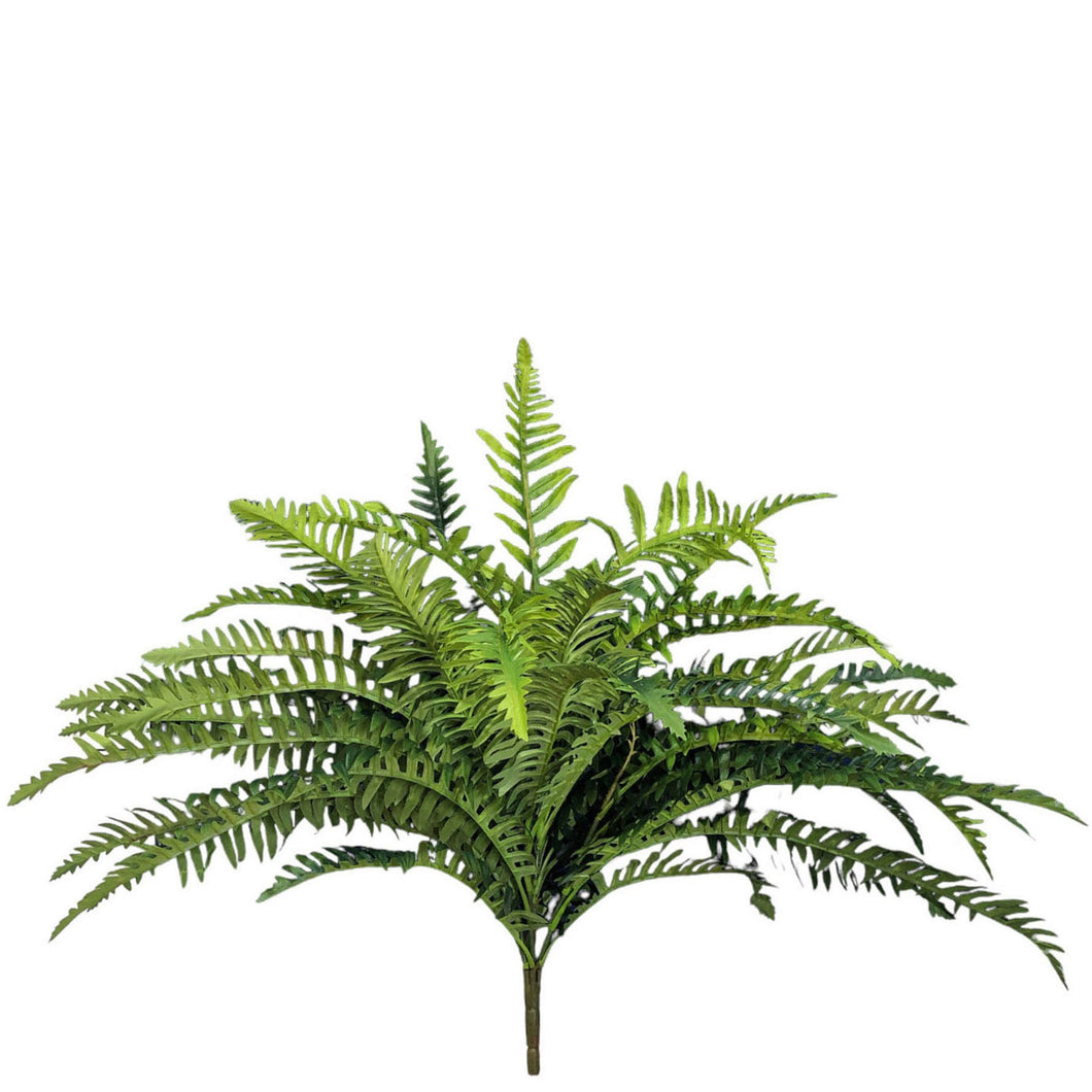 Fern Bush 73cm.