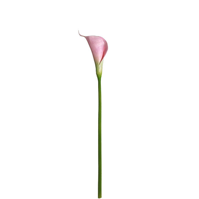 Calla Lily Spray 79cm.