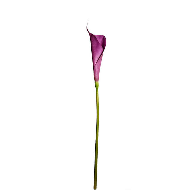 Calla Lily Spray 79cm.