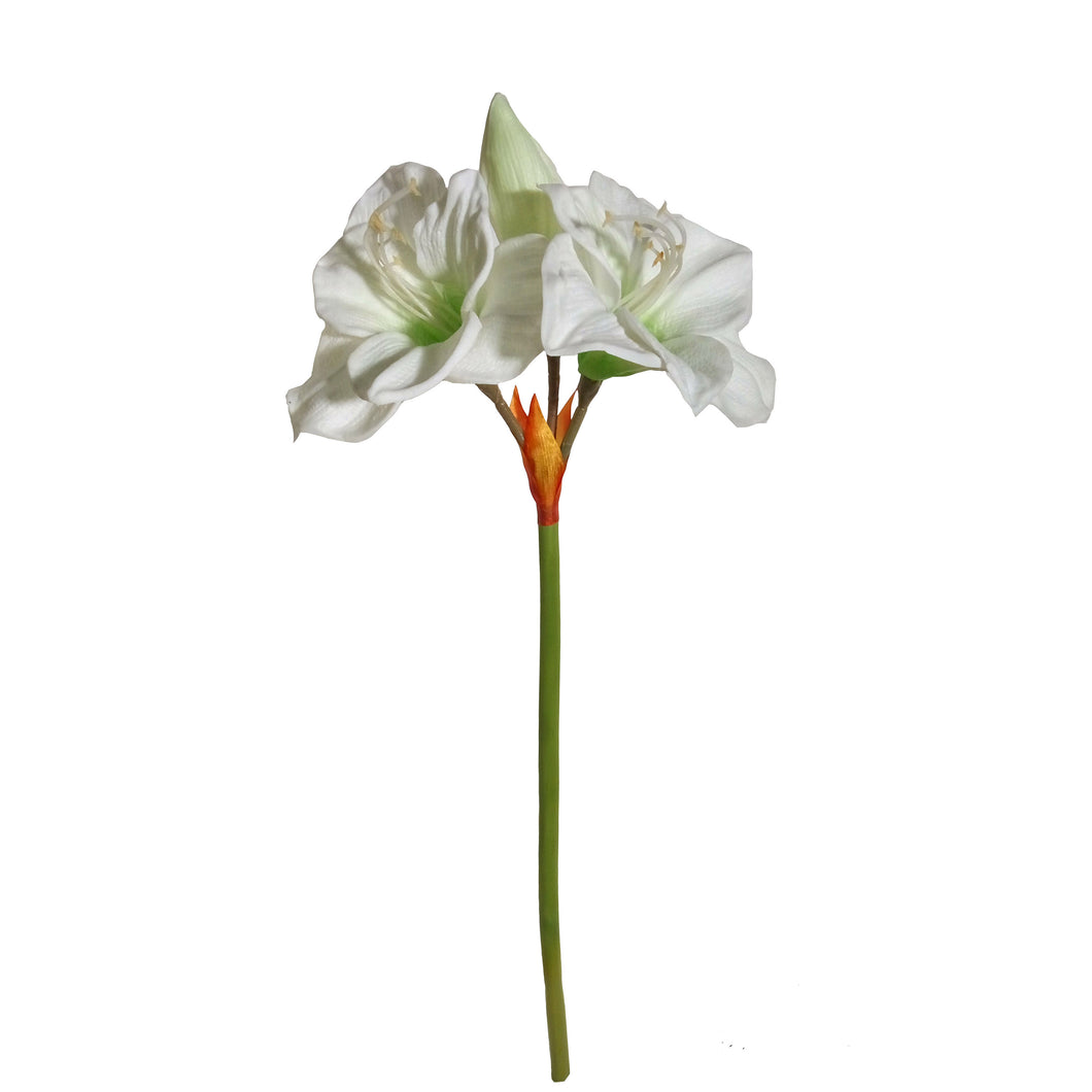 Amaryllis Spray 64cm.