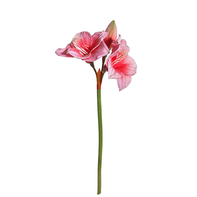 Amaryllis Spray 64cm.