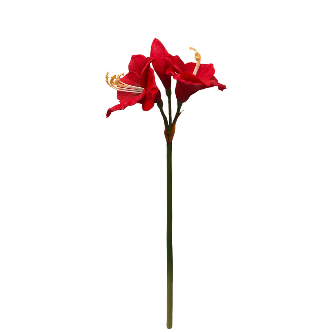 Amaryllis Spray 64cm.