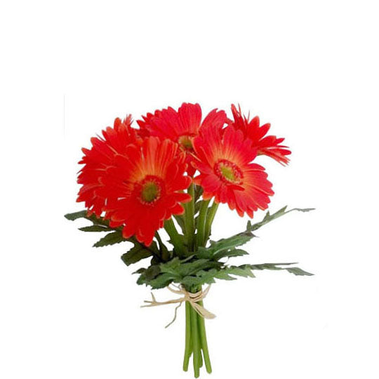 Gerbera Bundle 33cm.