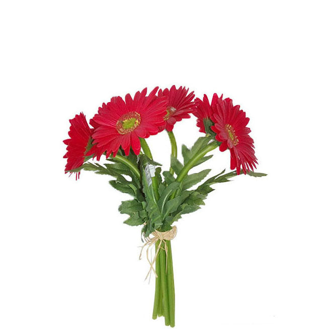 Gerbera Bundle 33cm.