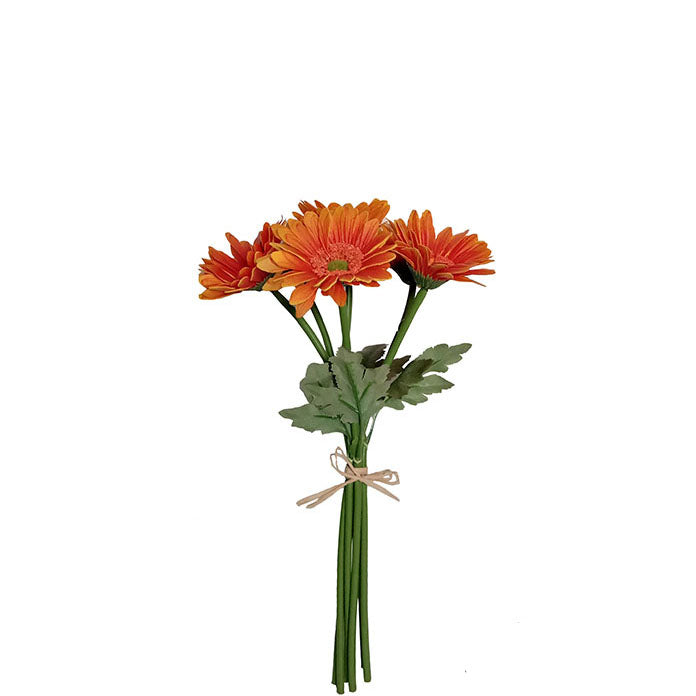 Gerbera Bundle 32cm.