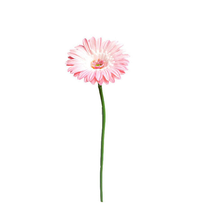 Gerbera Spray 58cm.