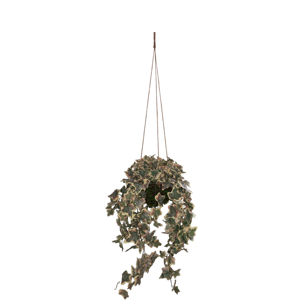 Hanging Foliage Basket 129cm.