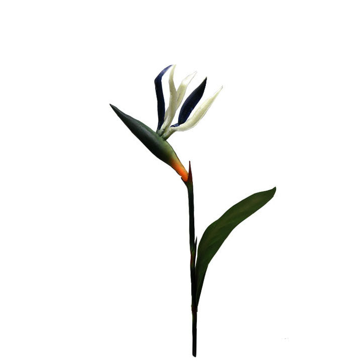 Bird of Paradise Spray 85cm.