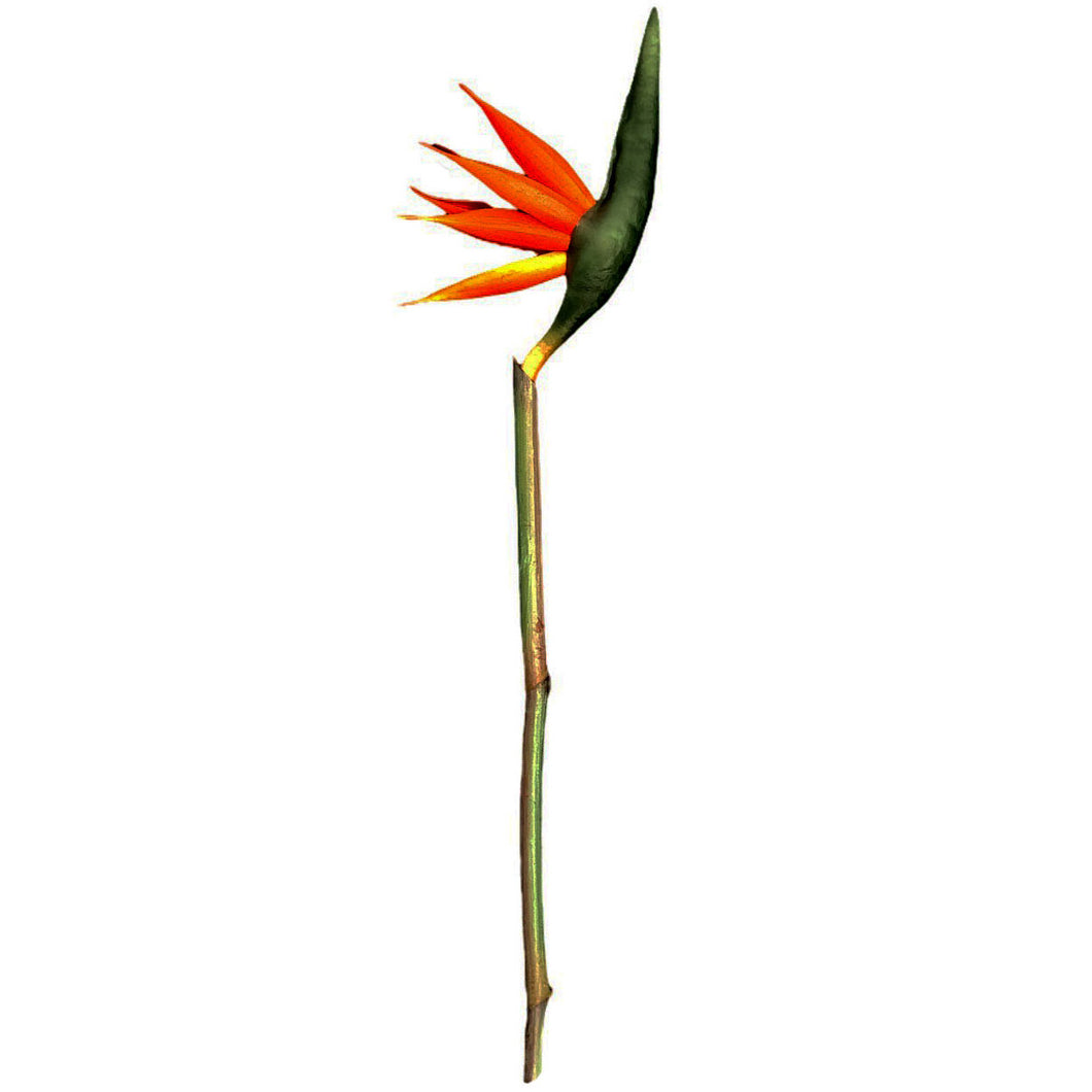 Birds of Paradise 102cm.