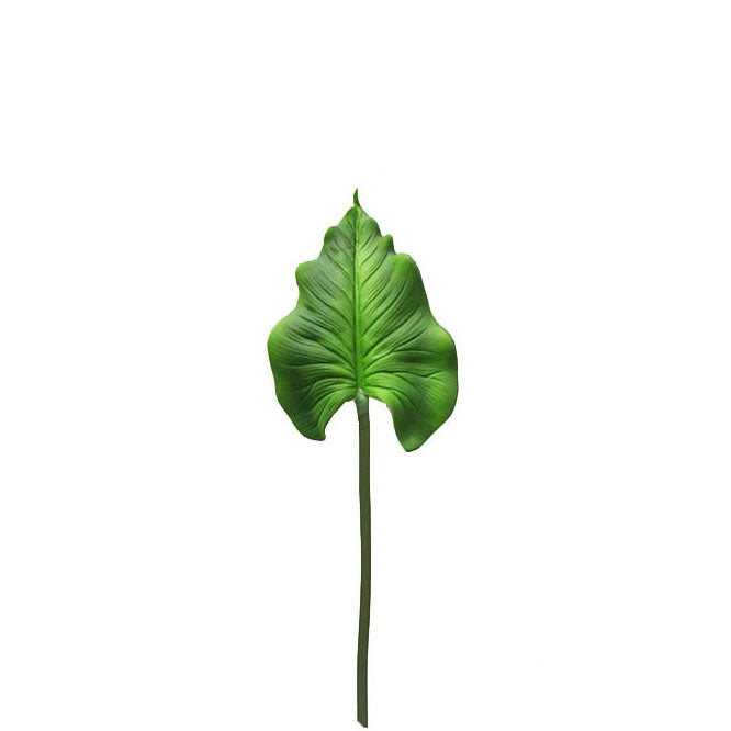 Spear heart Leaf Spray 54cm.