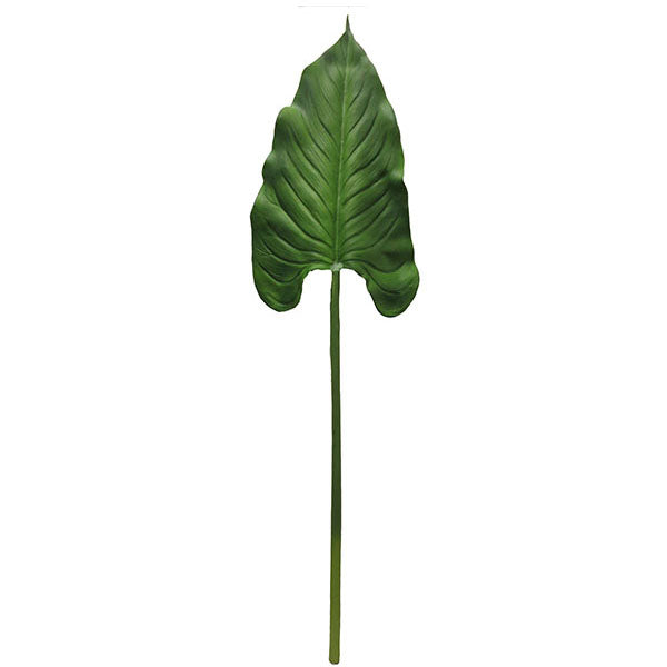 Spear Heart Leaves 116cm.