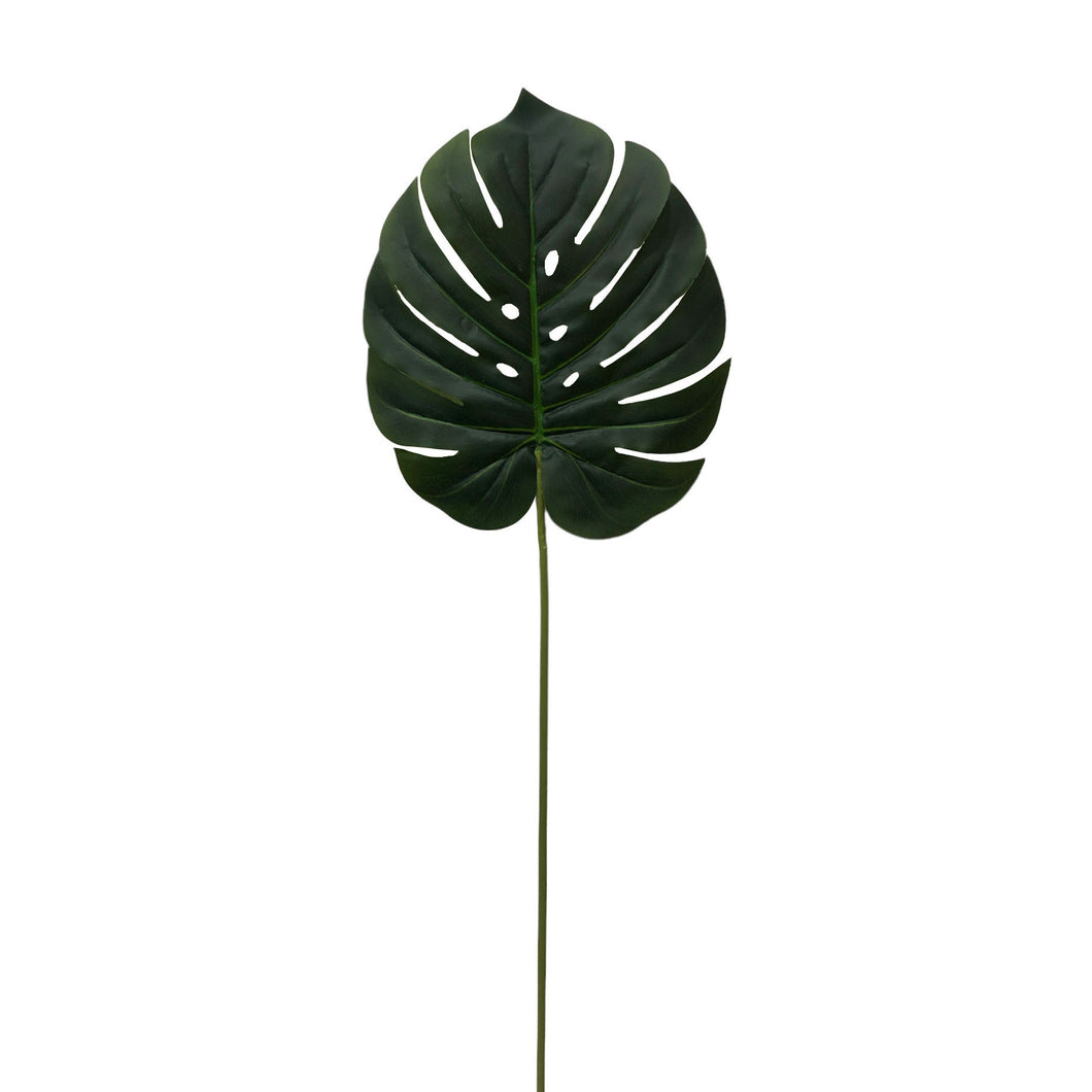 Split Philodendron 89cm.