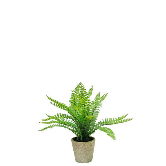 Fern Pot Green 26cm.