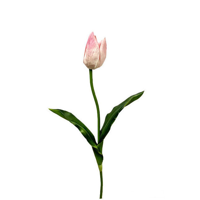 Single Tulip Spray 53cm.