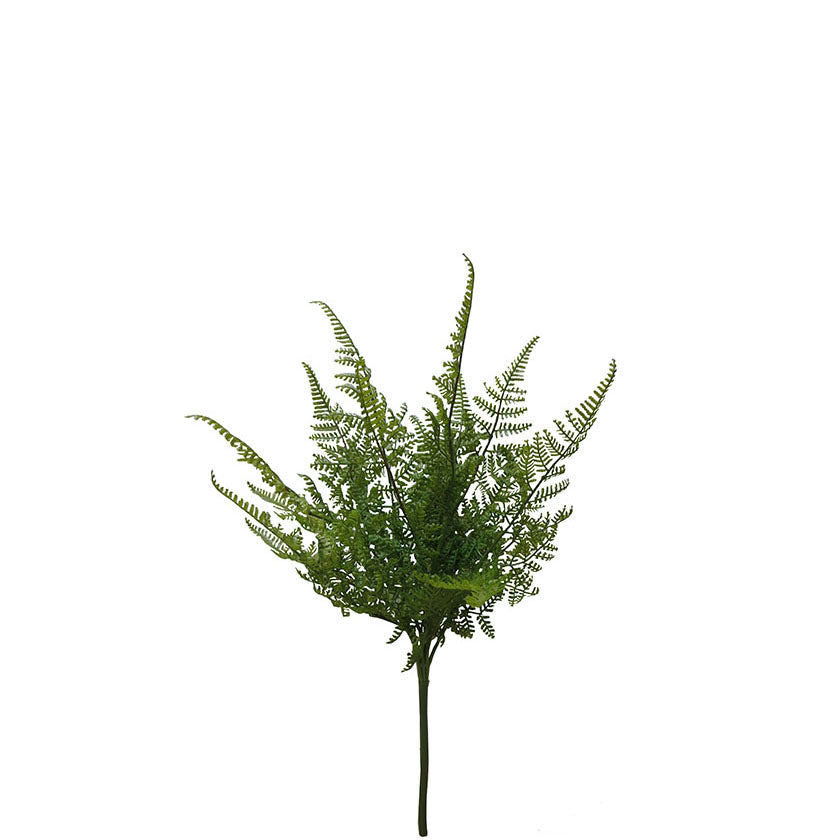 Fern Bush 40cm.