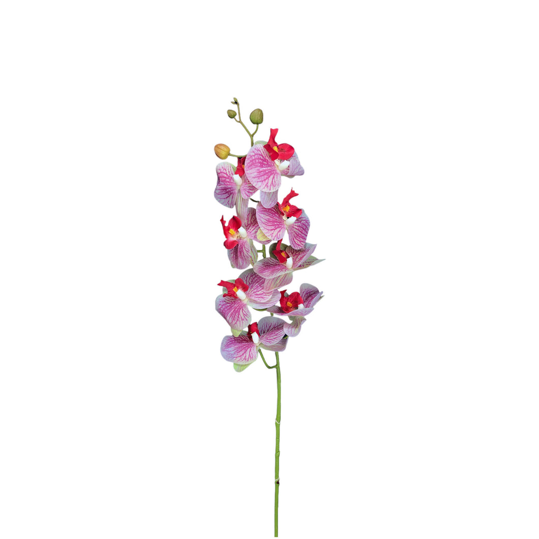 Orchid Spray 105cm.