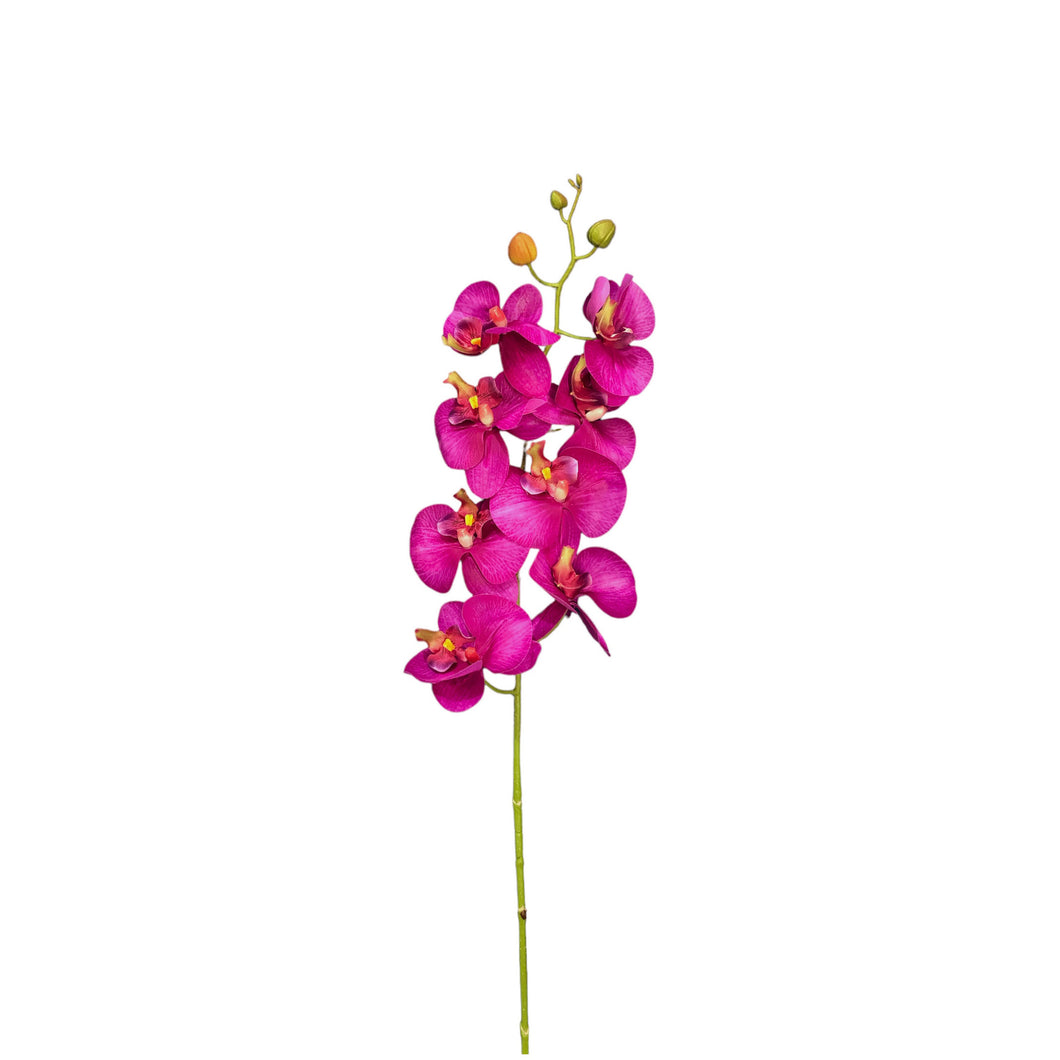 Orchid Spray 105cm.