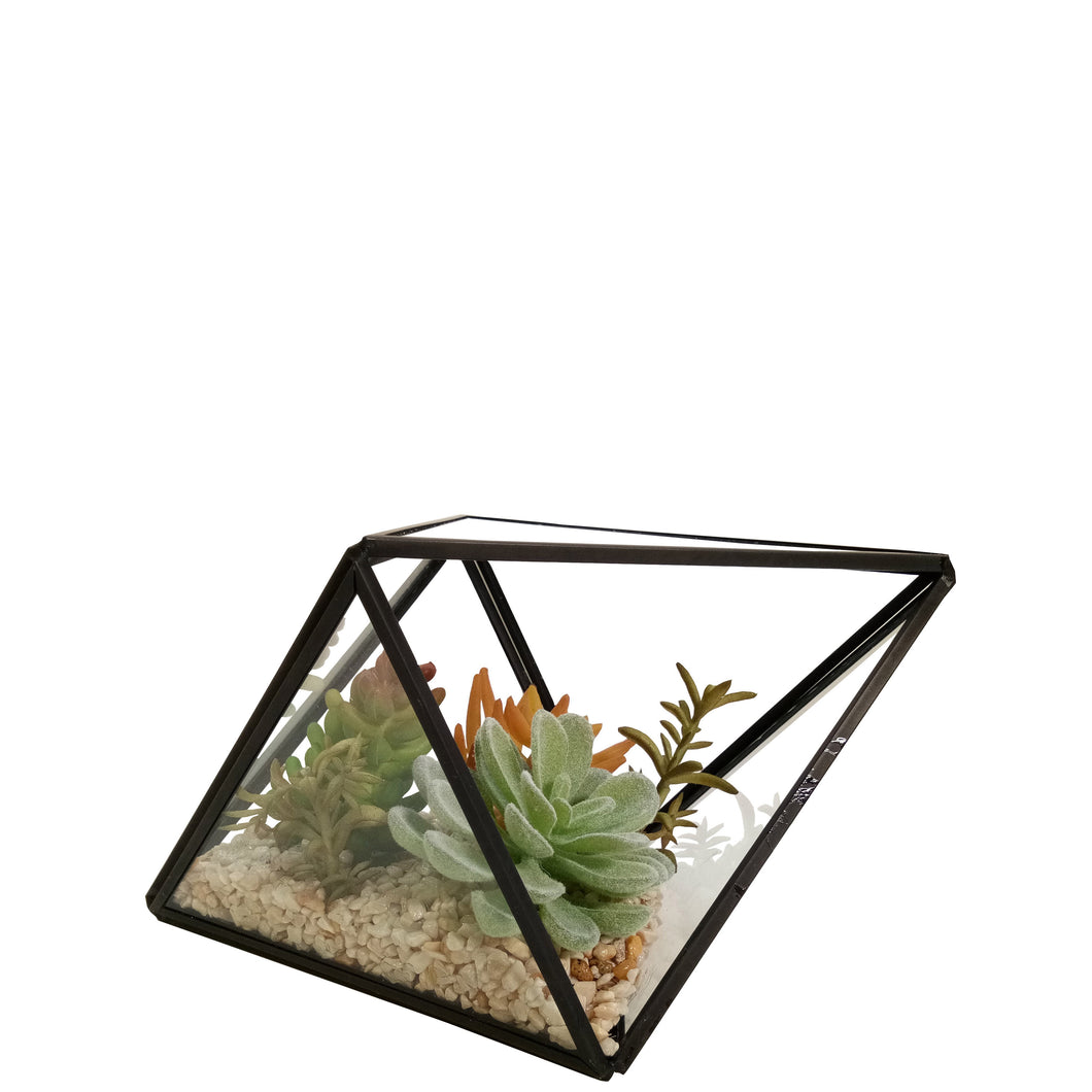 Succulent Terrarium