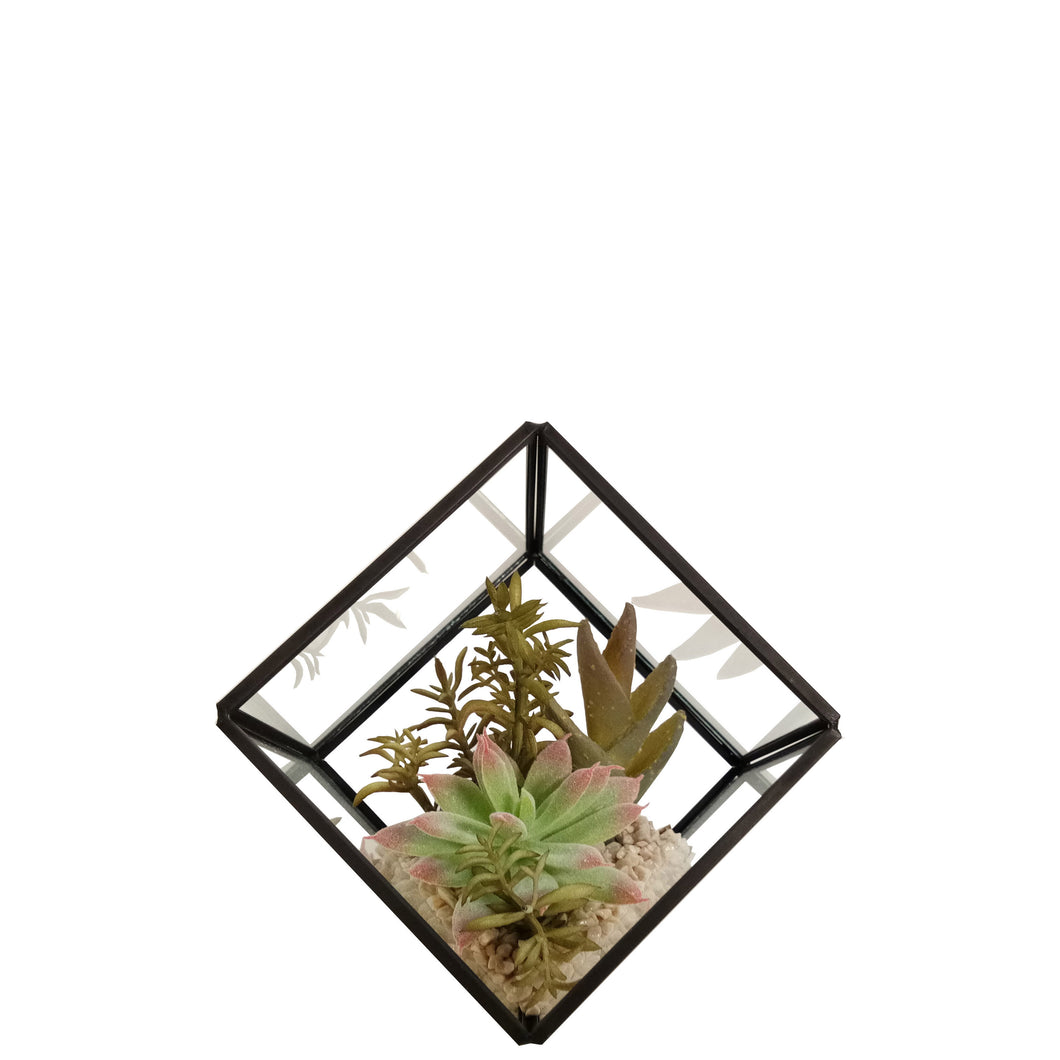 Succulent Terrarium