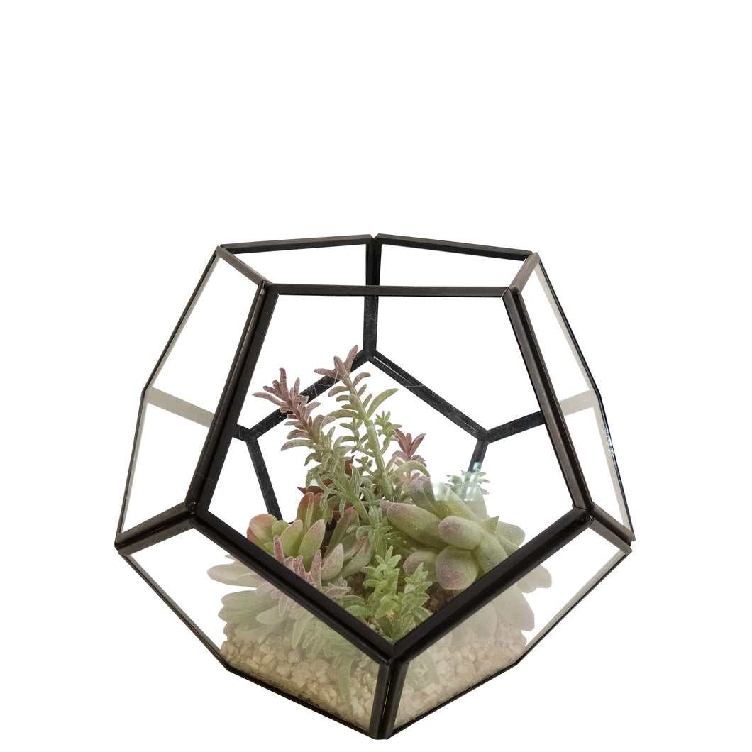 Succulent Terrarium