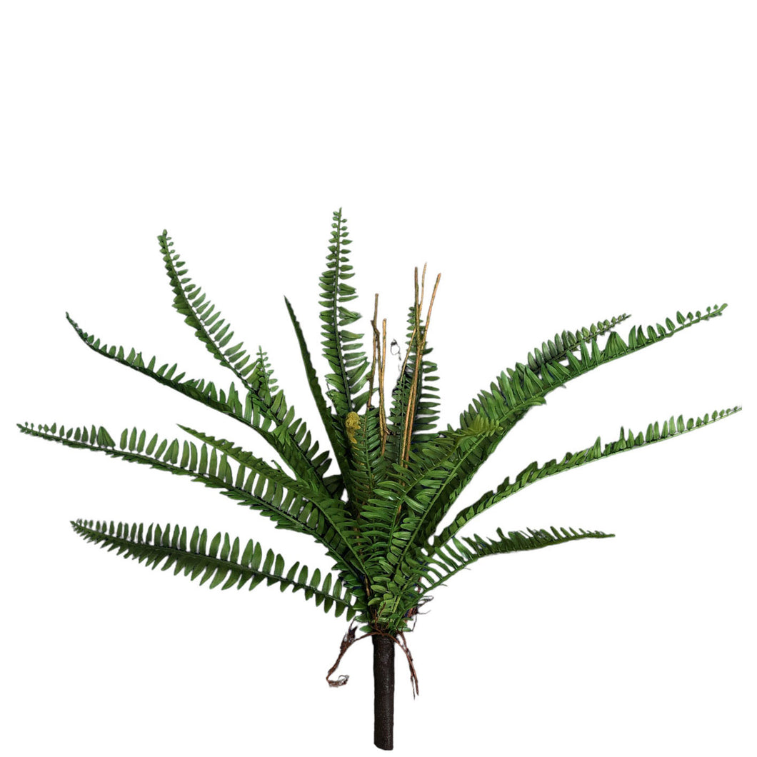 Fern Bush 53cm.