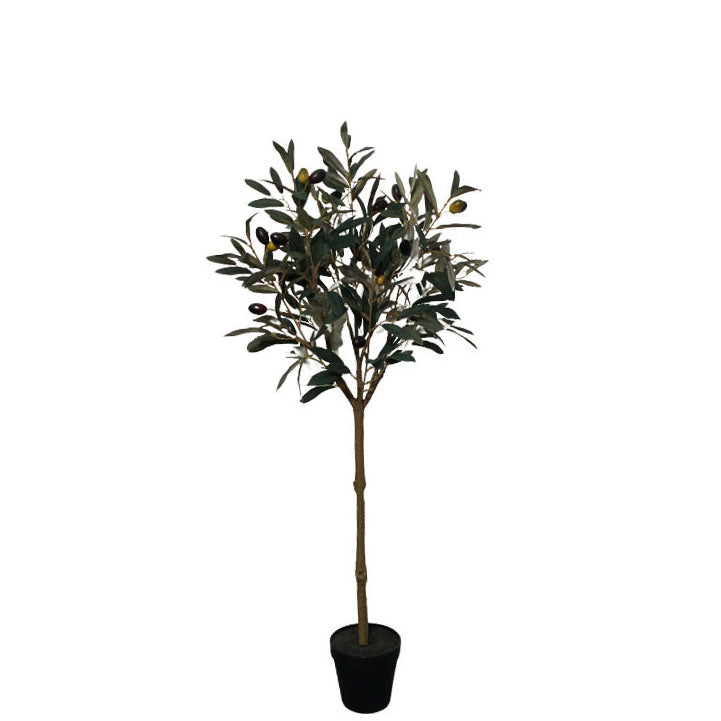 Potted Olive with Berry 100cm.