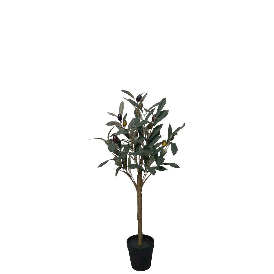 Potted Olive with Berry 69cm.