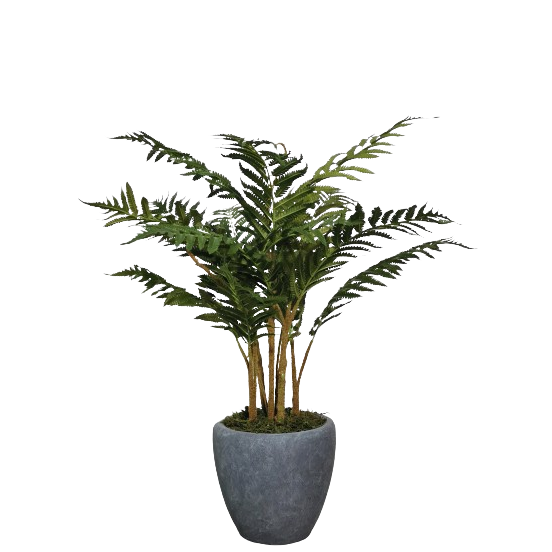 Fern Palm Tree 85cm.