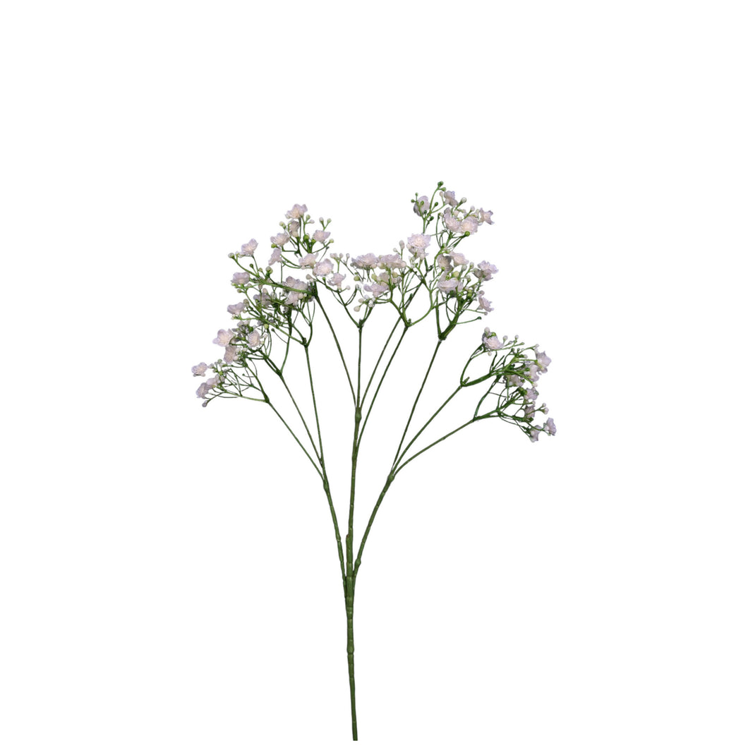 Gypsophilia Spray 68cm.