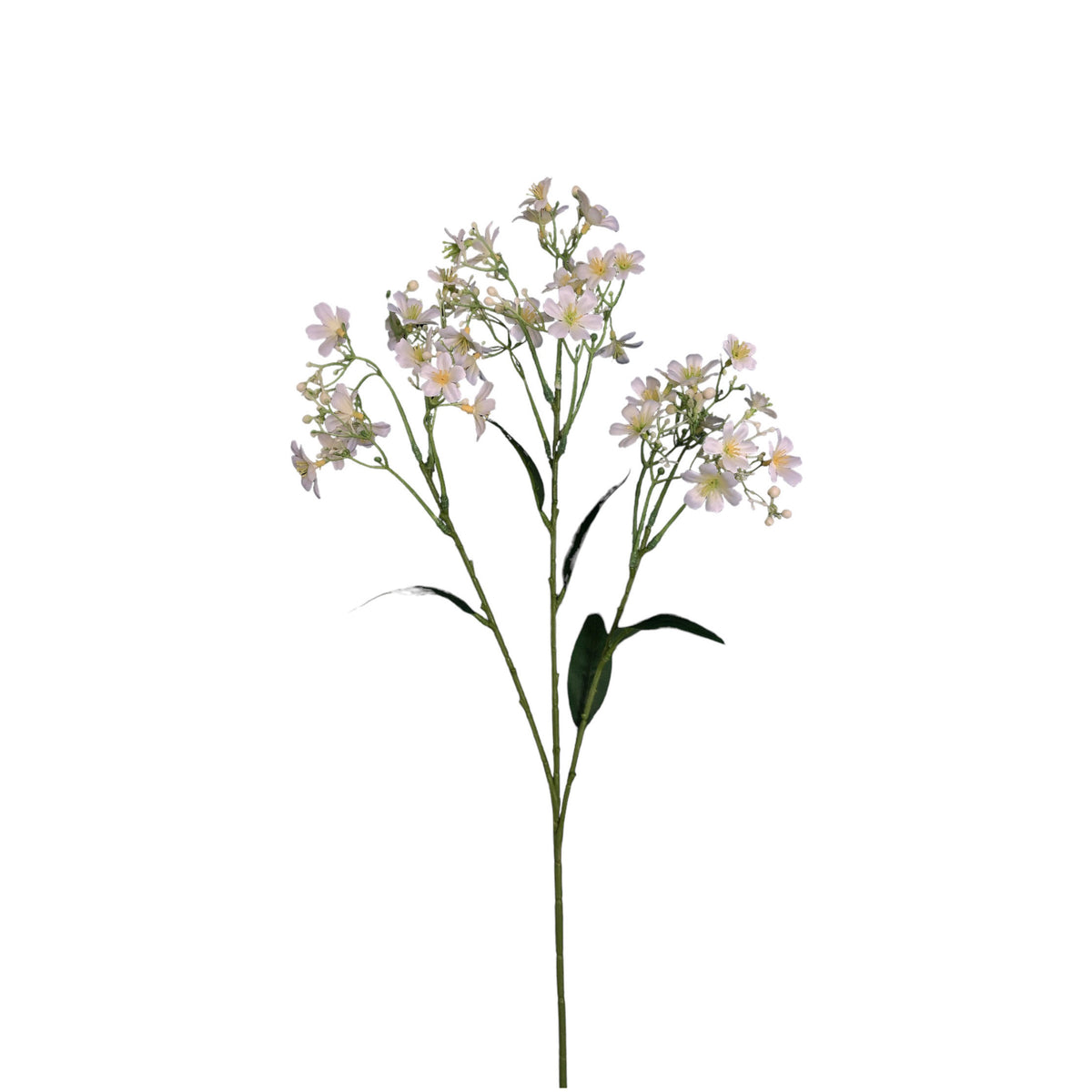 Daphne Spray 71cm. – Flourish_ph