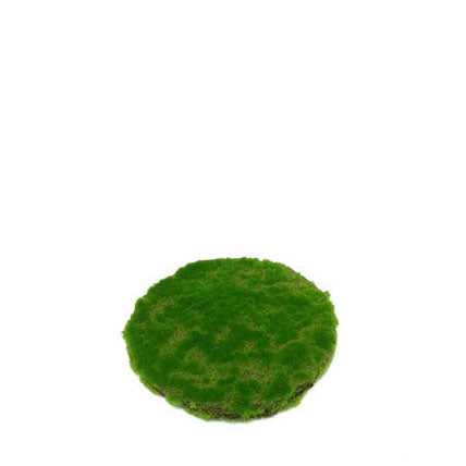 Round Moss Mat 20cm.