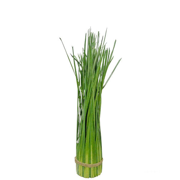 Grass Bush (Small)