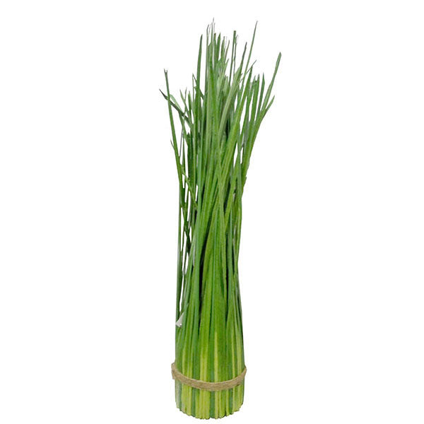 Grass Bush (Medium)