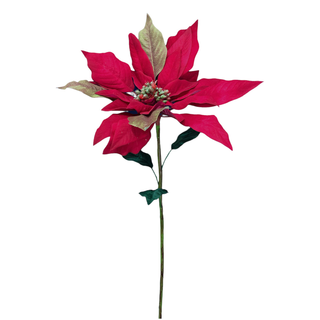 Single Poinsettia 76cm.